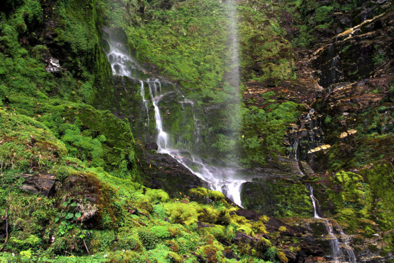 Water fall | Yvanne Teo
