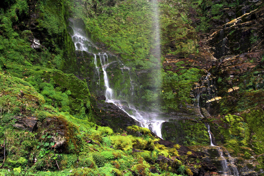 Water fall | Yvanne Teo
