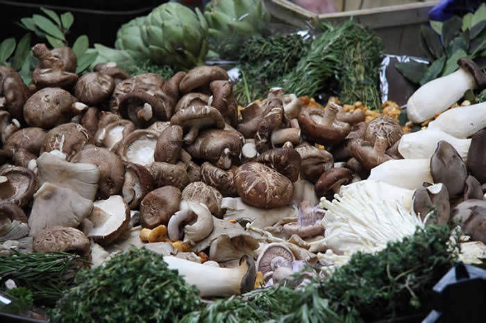 Market Mushrooms | YT Photography | Yvanne Teo