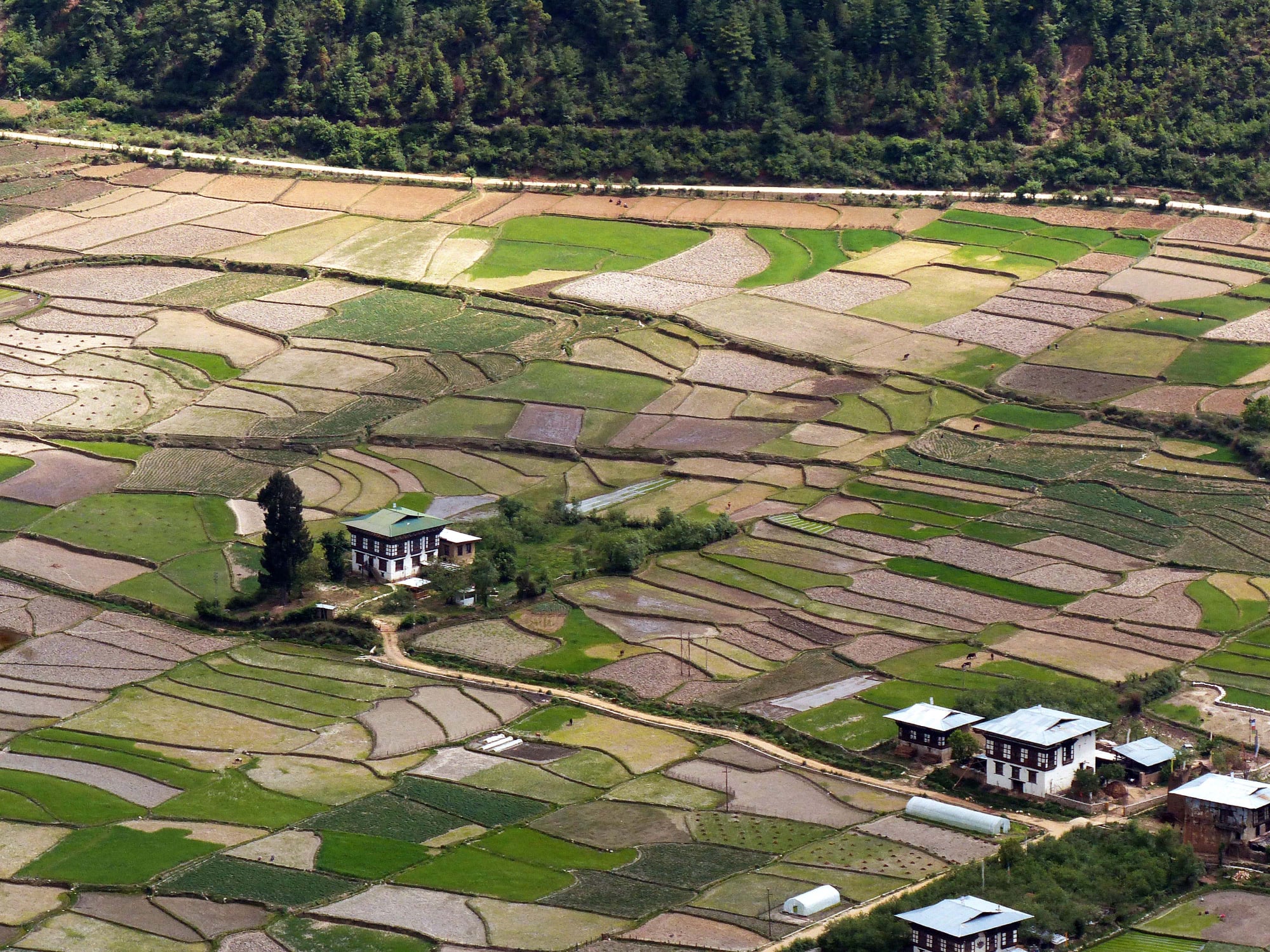 Bhutanese Scenes | YT Photography & Design | Yvanne Teo