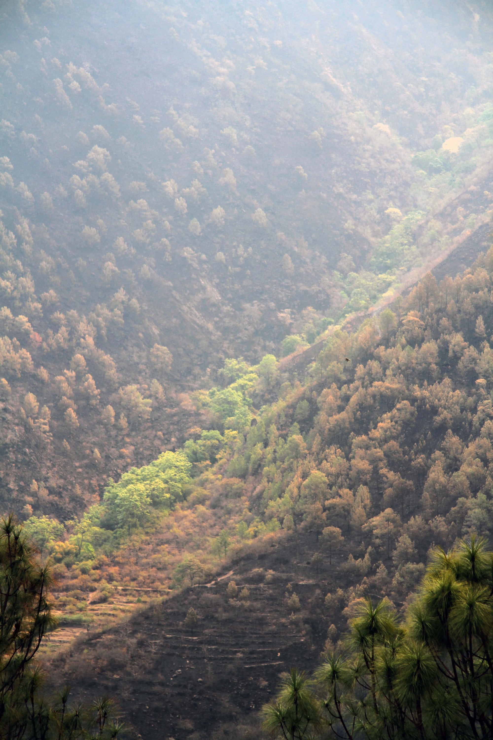 Bhutanese Scenes | YT Photography & Design | Yvanne Teo