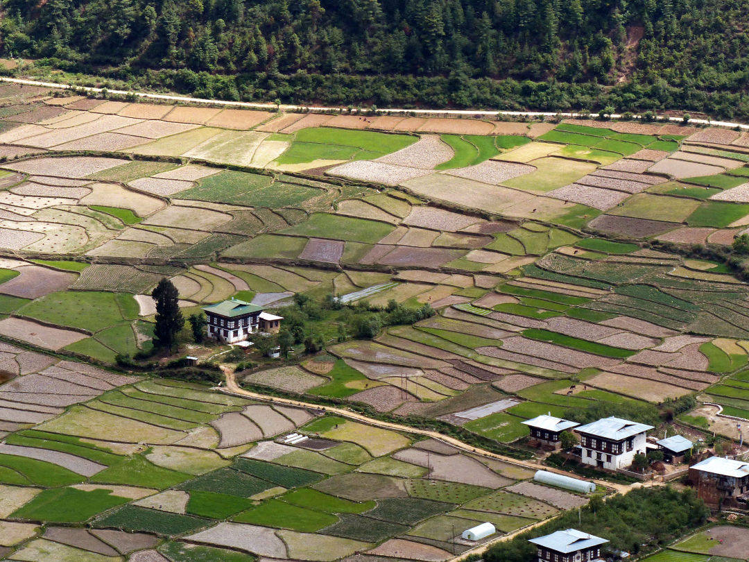 Bhutan | Yvanne Teo