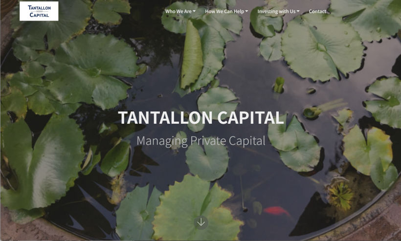 Tantallon Capital Website Design | YT Photography & Design | Yvanne Teo